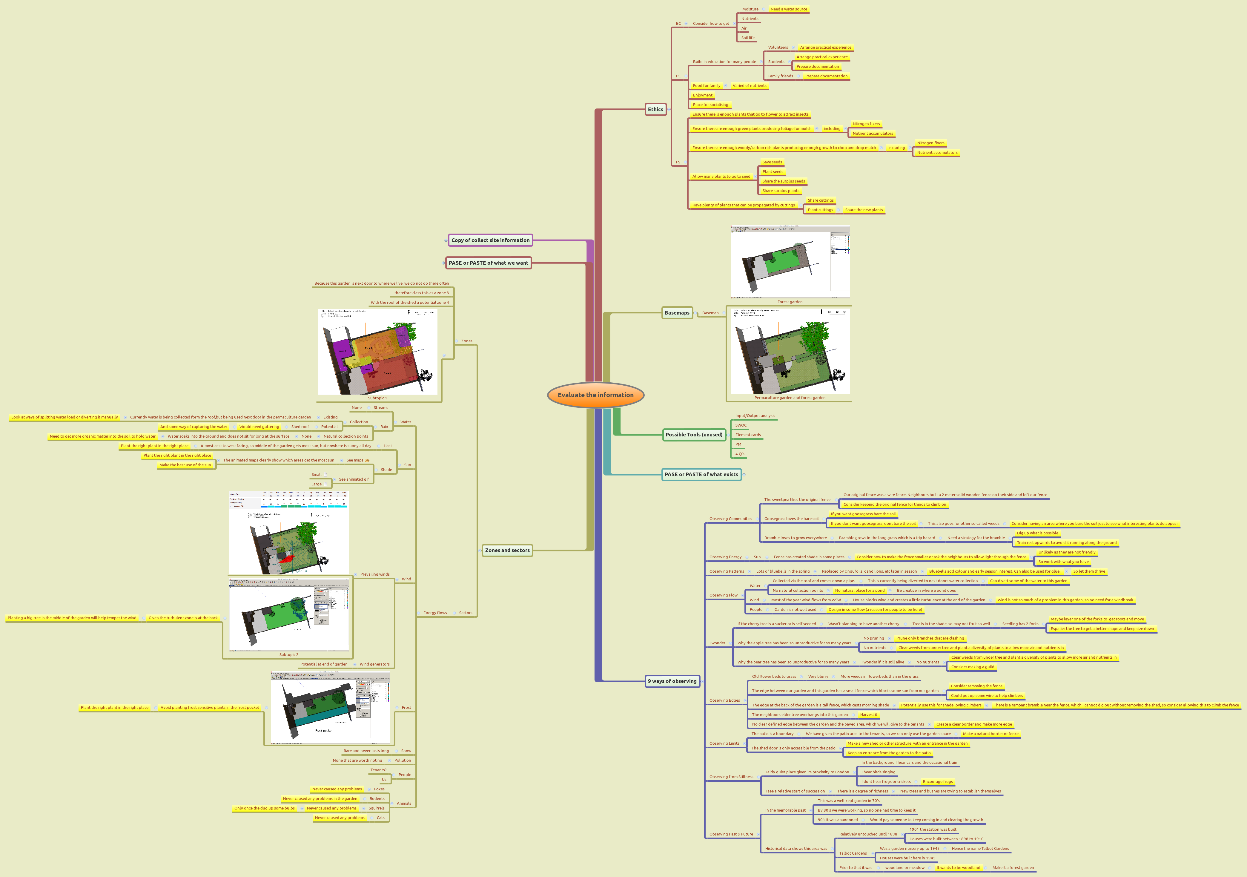Evaluating site information – Xmind mind map